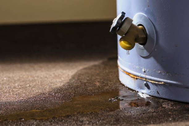 Best Mold removal after water damage  in Austintown, OH