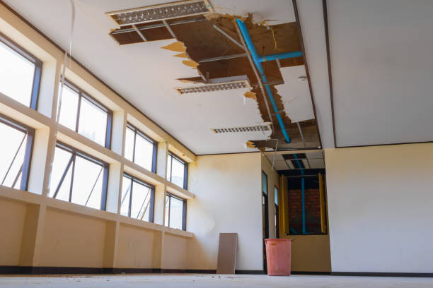 Best Water damage restoration experts  in Austintown, OH