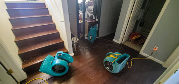 Best Water damage restoration mold remediation  in Austintown, OH