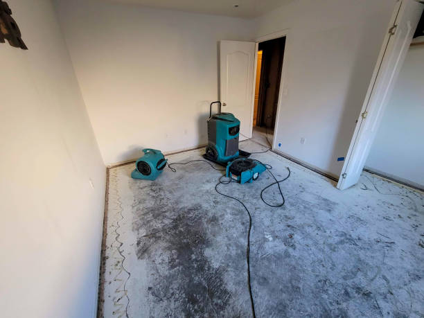 Trusted Austintown, OH Water damage restoration Experts