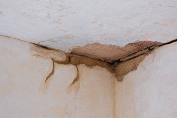Best Professional water damage repair  in Austintown, OH