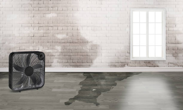 Best 24/7 water damage repair  in Austintown, OH
