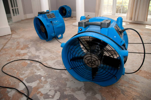 Best Ceiling water damage repair  in Austintown, OH