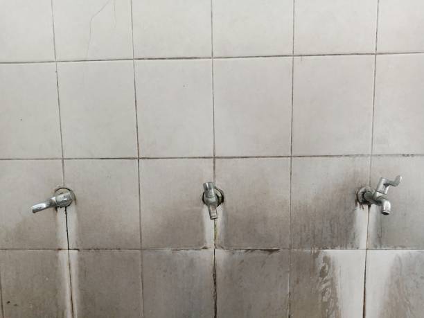 Best Basement water damage restoration  in Austintown, OH