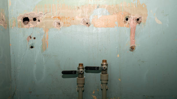 Best Water damage contractors near me  in Austintown, OH