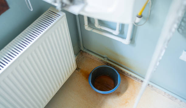 Best Water damage restoration near me  in Austintown, OH