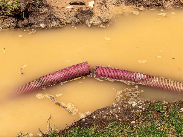 Best Water damage restoration near me  in Austintown, OH