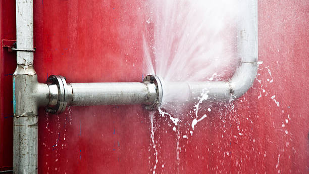 Best Carpet water damage restoration  in Austintown, OH