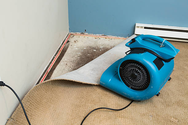 Water damage restoration process in Austintown, OH